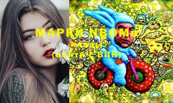 твердый Новозыбков