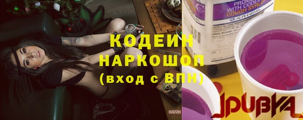 твердый Новозыбков