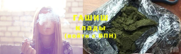 твердый Новозыбков