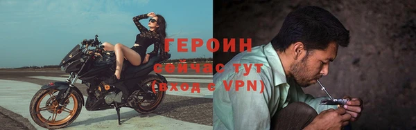 твердый Новозыбков