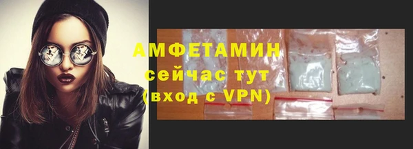 твердый Новозыбков