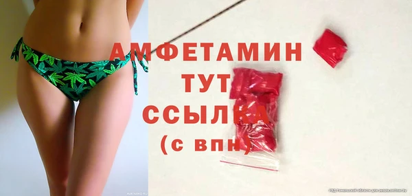 твердый Новозыбков