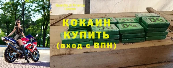 твердый Новозыбков