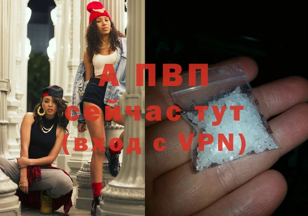 твердый Новозыбков