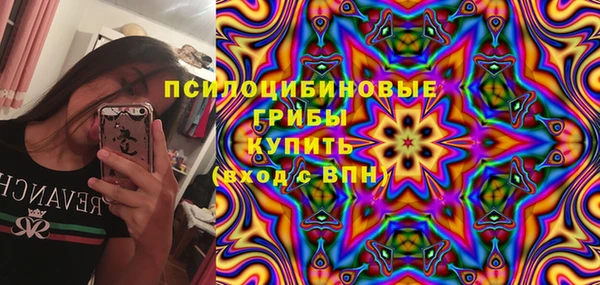 гидропоника Новодвинск