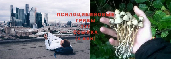 гидропоника Новодвинск