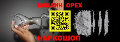 стаф Дубна