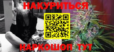 стаф Дубна