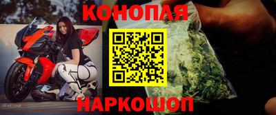 стаф Дубна