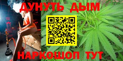 стаф Дубна