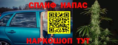 стаф Дубна