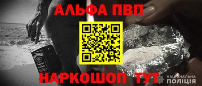 стаф Дубна