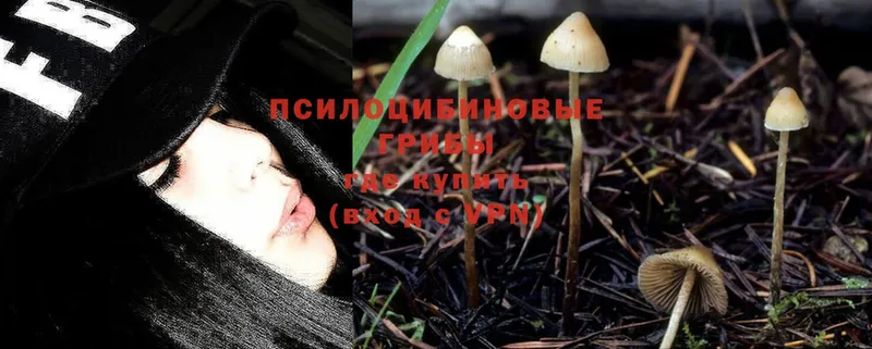 ОМГ ОМГ онион  это наркотические препараты  Галлюциногенные грибы Psilocybine cubensis  Алапаевск 