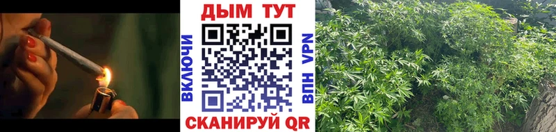 МАРИХУАНА OG Kush  где найти   Алапаевск 